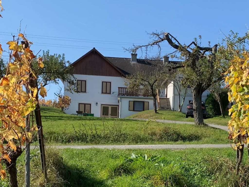 Apartment Rebstock Außenansicht - Authentisches Kellerstöckl inmitten der Weinberge von Eberau