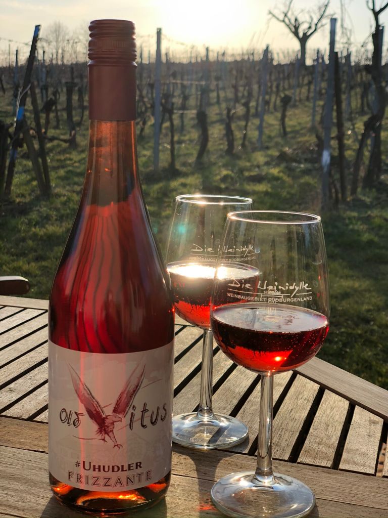Uhudler Frizzante im Weingarten - Prickelnder Uhudler-Schaumwein zwischen den Weinreben von Eberau